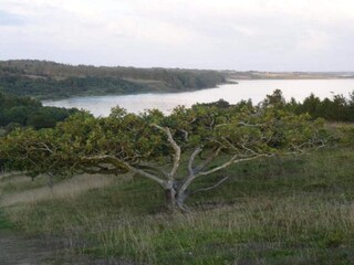 Ferienhaus Helligsø  25