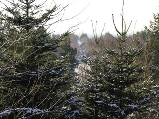 Casa per le vacanze Helligsø  19