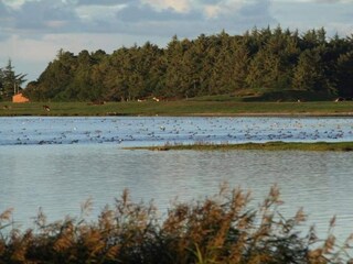 Maison de vacances Helligsø  13