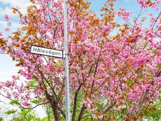 Maison de vacances Ellös  26