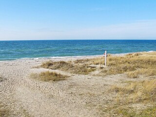 Ferienhaus Dannemare  17