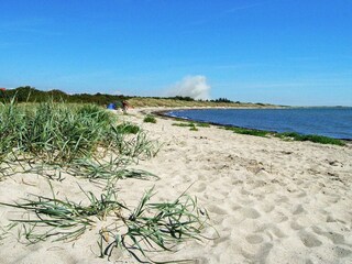 Ferienhaus Dannemare  18