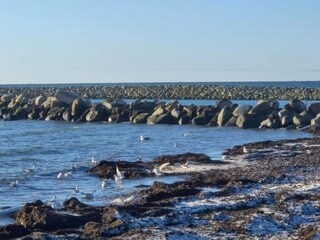 Casa per le vacanze Dannemare  50
