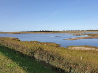 Maison de vacances Dannemare  52