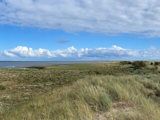 Ferienhaus Dannemare  64