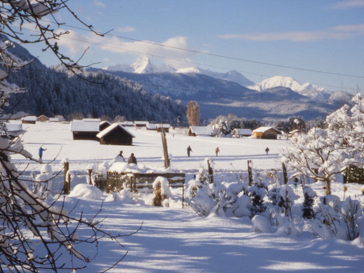 Garten  im Winter