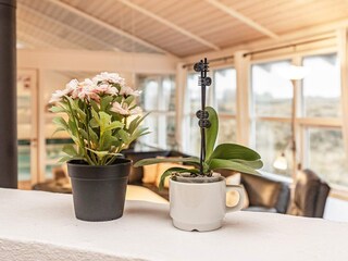 Ferienhaus Saltum  22