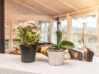 Holiday house Saltum  22