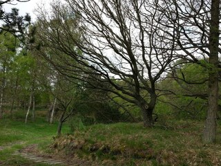 Maison de vacances Ebeltoft  3