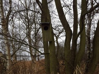 Vakantiehuis Ebeltoft  14