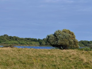 Holiday house Ebeltoft  22