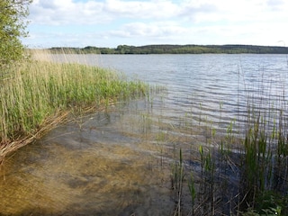 Ferienhaus Ebeltoft  5