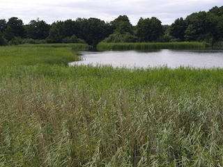 Holiday house Ebeltoft  26