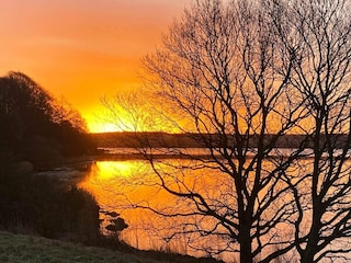 Holiday house Kolding Outdoor Recording 9