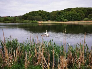 Maison de vacances Kolding  44