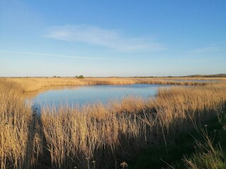 Maison de vacances Kolding  17