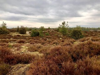 Vakantiehuis Ansager  8