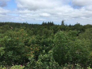 Casa per le vacanze Oksbøl  22