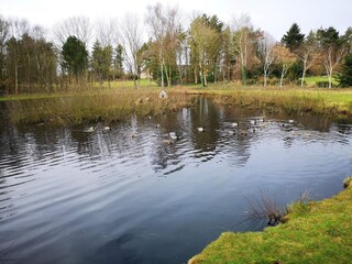 Vakantiehuis Oksbøl  41