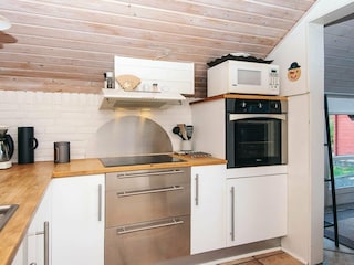 Ferienhaus Bork Havn  4