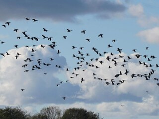Ferienhaus Ebeltoft  25