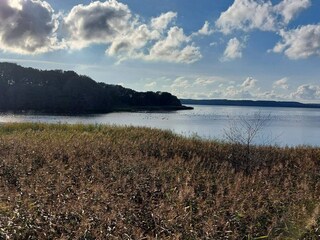 Ferienhaus Ebeltoft  36