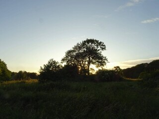 Holiday house Ebeltoft  40