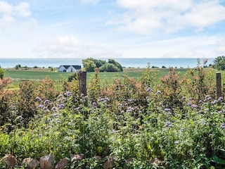 Ferienhaus Ebeltoft  15