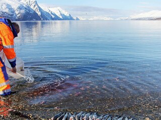 Ferienhaus Koppangen  11