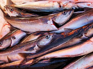 Ferienhaus Koppangen  28