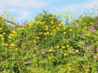 Ferienhaus Koppangen  15