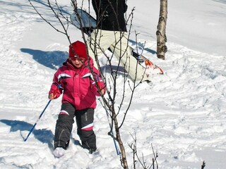 Maison de vacances Koppangen  8