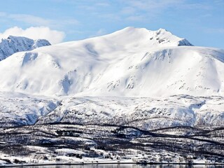 Ferienhaus Koppangen  17