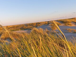 Maison de vacances Havneby  35