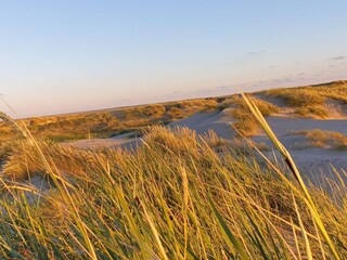 Ferienhaus Havneby  41