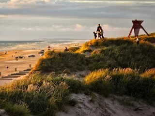 Vakantiehuis Blokhus  44