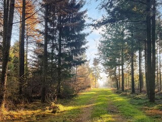 Ferienhaus Toftlund Außenaufnahme 9