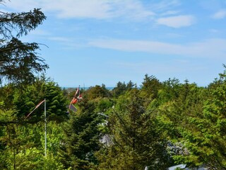 Vakantiehuis Blokhus  43