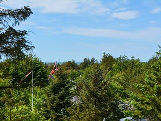 Ferienhaus Blokhus  27