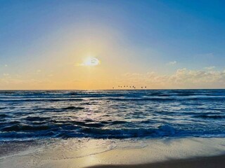 Ferienhaus Søndervig  32