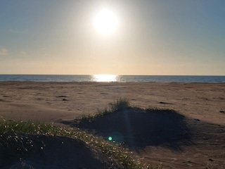 Ferienhaus Saltum  41