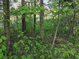 Vakantiehuis Vordingborg Buitenaudio-opname 5