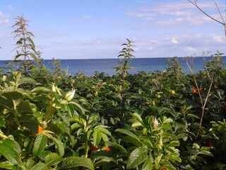 Casa de vacaciones Sydals  9