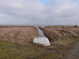 Casa per le vacanze Ørsted  8