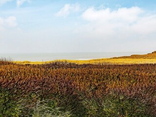 Vakantiehuis Løkken  25