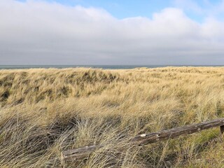 Vakantiehuis Kollerup Strand  10