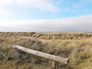 Vakantiehuis Kollerup Strand  5