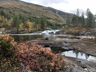 Holiday house Welt Outdoor Recording 8