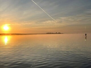 Appartement Søndervig  54