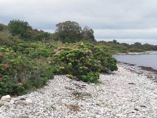 Vakantiehuis Flovt Strand  24